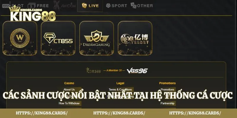 Các sảnh cược nổi bật nhất tại hệ thống cá cược 